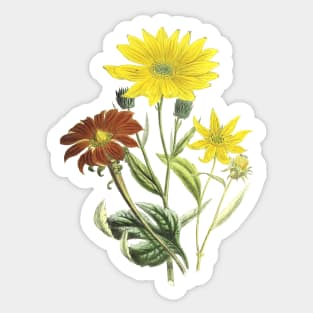 Summer Flowers Sticker